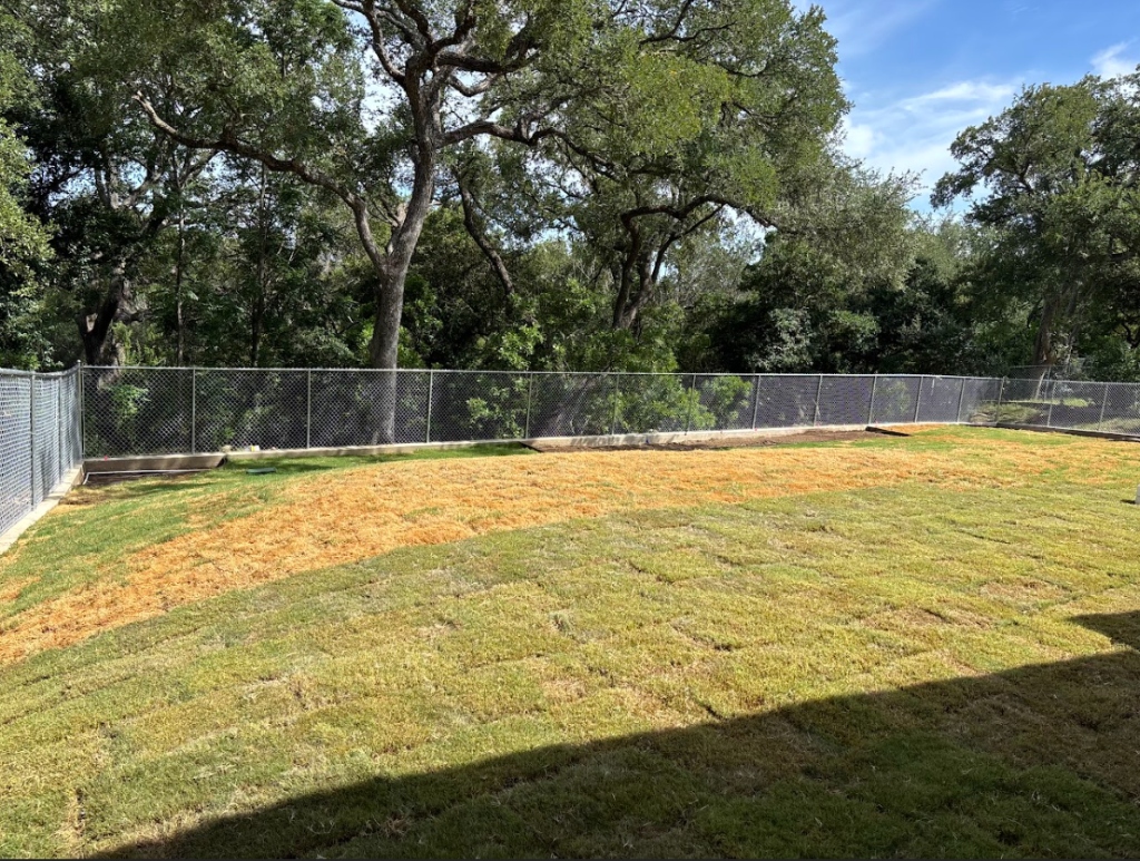 Chain link fence installation with fresh sod